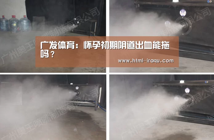 广发体育：怀孕初期阴道出血能拖吗？