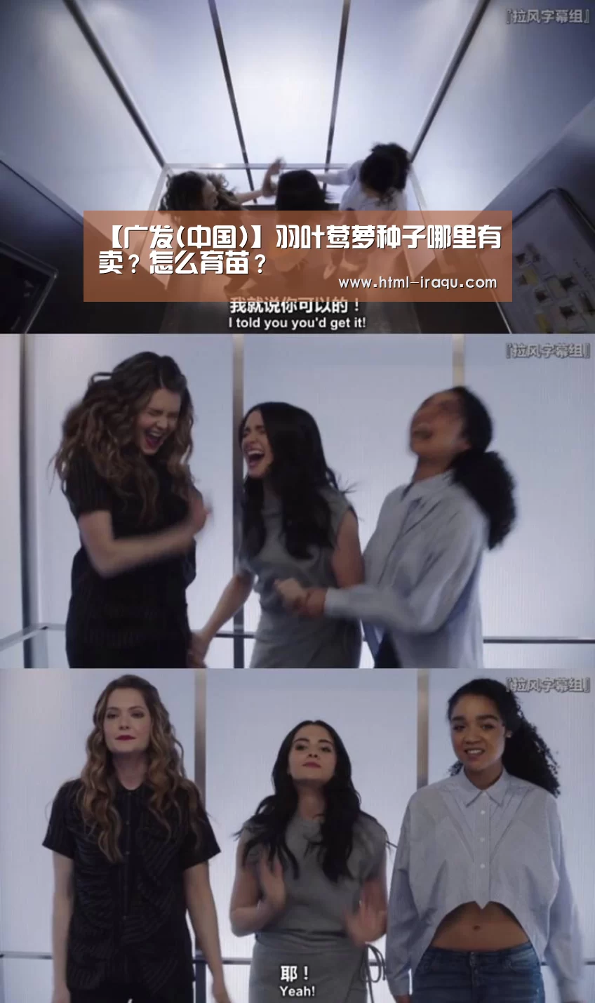 【广发(中国)】羽叶莺萝种子哪里有卖？怎么育苗？