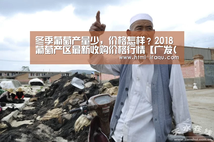 冬季葡萄产量少，价格怎样？2018葡萄产区最新收购价格行情【广发(中国)】