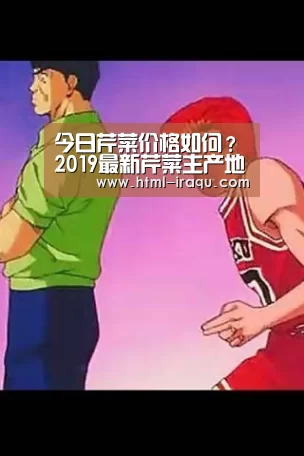 今日芹菜价格如何?2019最新芹菜主产地价格行情‘广发(中国)’(图2) 广发体育