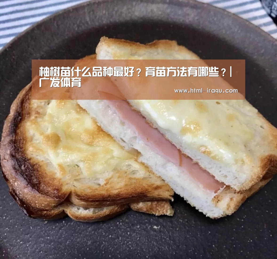 广发(中国)