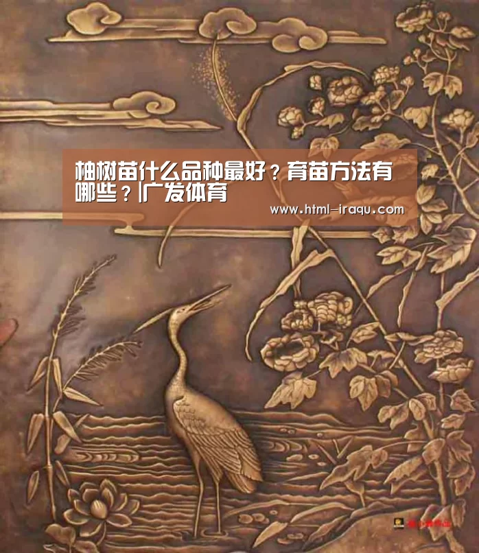 广发体育