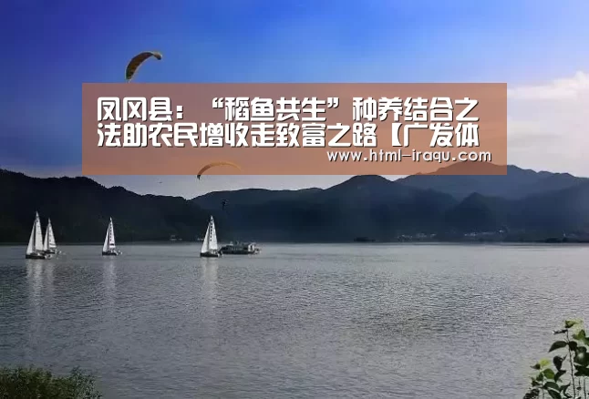 凤冈县:“稻鱼共生”种养结合之法助农民增收走致富之路【广发体育】(图2) 广发(中国)