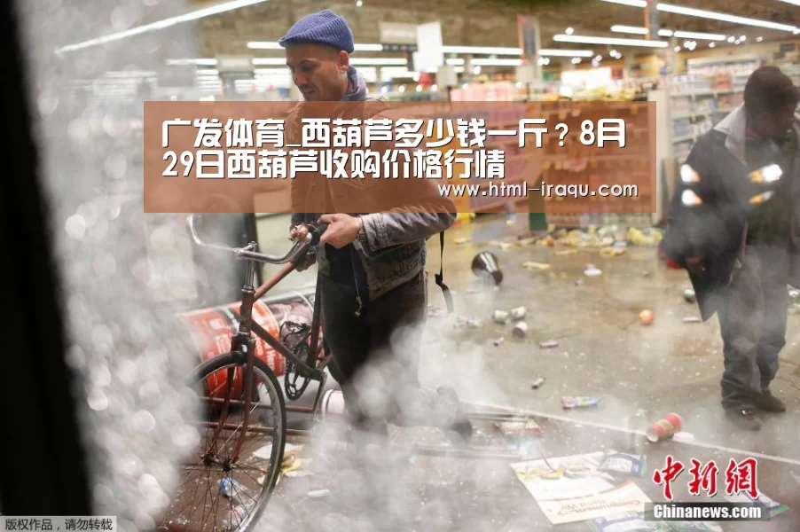 广发体育_西葫芦多少钱一斤？8月29日西葫芦收购价格行情