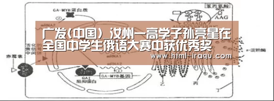 广发(中国)_汝州一高学子孙亮星在全国中学生俄语大赛中获优秀